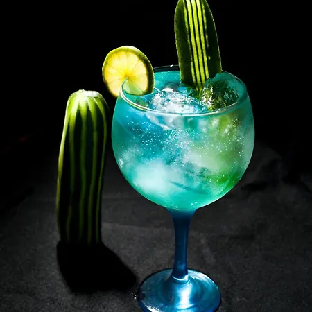 El Refugio 3 Estrellas